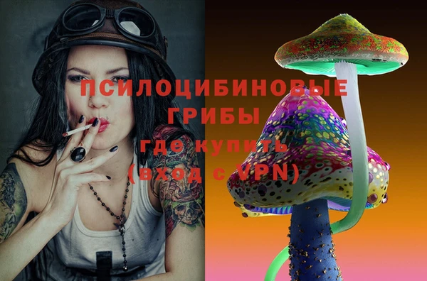 мдпв Карталы