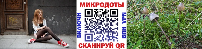 Купить закладки Липки Псилоцибиновые грибы Magic Shrooms